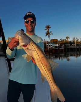 Inshore Fishing Trip