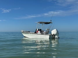Inshore Fishing Trip