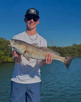 Inshore Fishing Trip