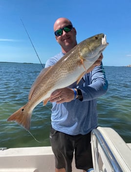 4-8 Hour Inshore Trips