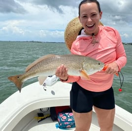 4-8 Hour Inshore Trips