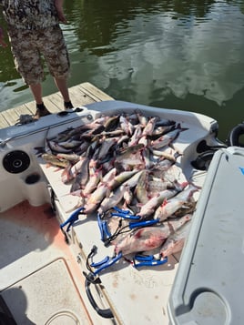 4 hr AM Fishing Trip on Lake Conroe