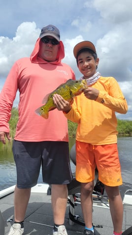 Peacock/Largemouth Afternoon Trip