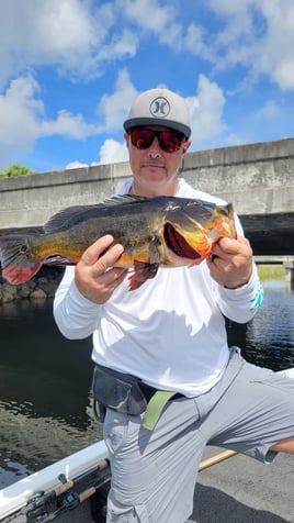 Peacock/Largemouth Afternoon Trip