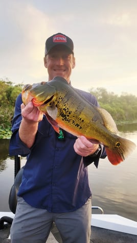 Peacock/Largemouth Afternoon Trip