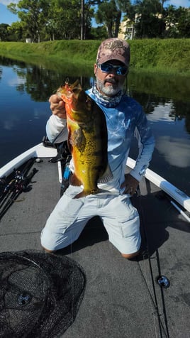 Peacock/Largemouth Afternoon Trip