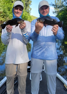 Peacock/Largemouth Afternoon Trip