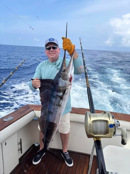 Offshore Fishing Trip