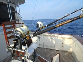Offshore Fishing Trip