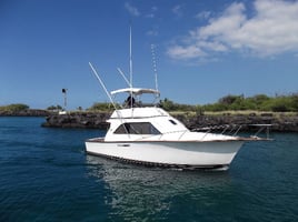 Offshore Fishing Trip