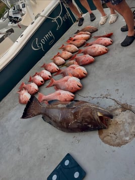 Red Snapper Trip