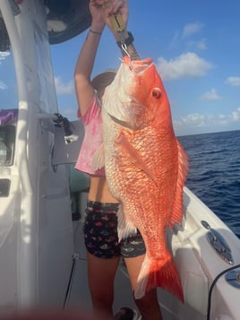 Red Snapper Trip