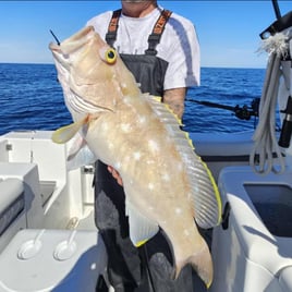 10 Hour Trip – Snapper/Grouper