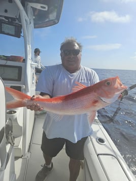 10 Hour Trip – Snapper/Grouper