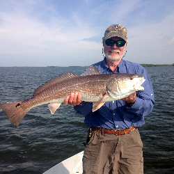 Inshore Back Water Fishing Trip