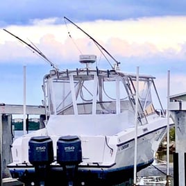 Key West Sportfish Trip