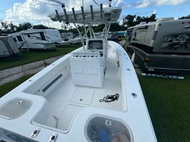 8hr Offshore Fishing