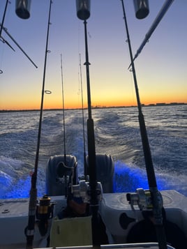 8hr Offshore Fishing