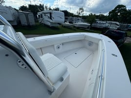 8hr Offshore Fishing