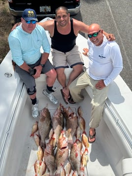 8hr Offshore Fishing