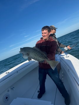 8hr Offshore Fishing