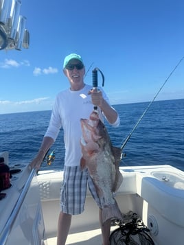 8hr Offshore Fishing