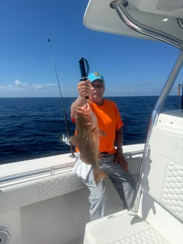 8hr Offshore Fishing