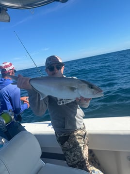 8hr Offshore Fishing