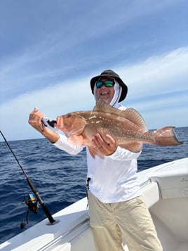 8hr Offshore Fishing