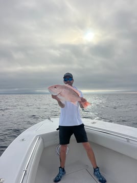 8hr Offshore Fishing