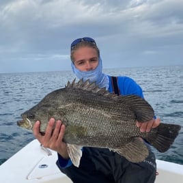 6hr Offshore Fishing 