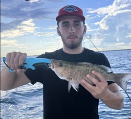 4-8 Hour Offshore Trip