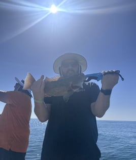 4-8 Hour Offshore Trip