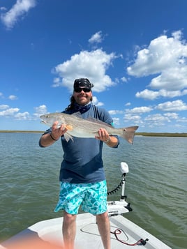 Afternoon Half Day Trip