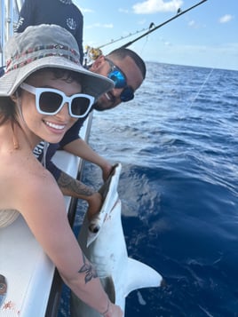 EXTREME SHARK FISHING