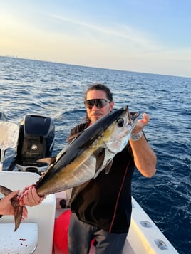 EXTREME SHARK FISHING