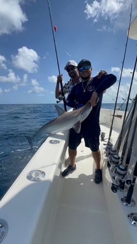 EXTREME SHARK FISHING