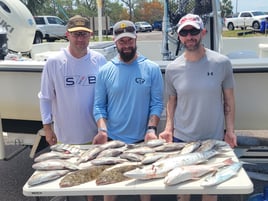 Gulf Fishing from beaches to reefs