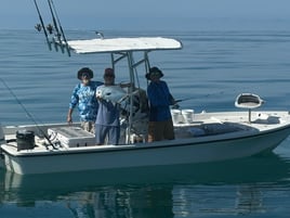Gulf Fishing From Beaches To Reefs