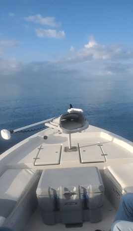 Gulf Fishing From Beaches To Reefs