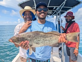 Gulf Fishing from beaches to reefs