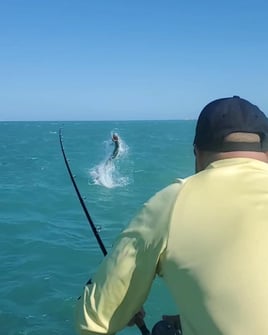 Tarpon Trip