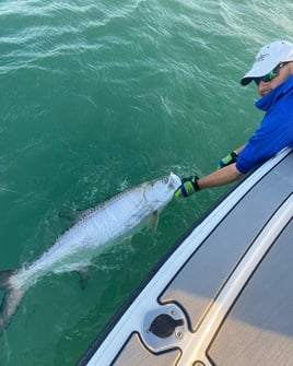 Tarpon Trip