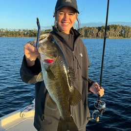 Orlando Bass Fishing