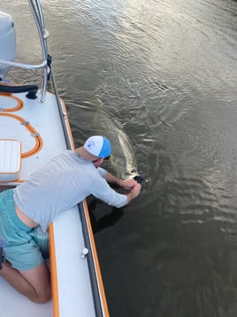 Fly Fish the Flats of Southwest FL