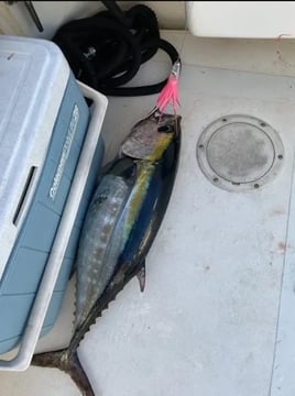 4-8 Hour Fishing Trip