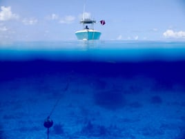 Key West Fishing Adventure