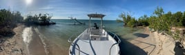 Key West Night Fishing Trip