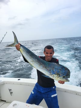 Offshore fishing, Panama