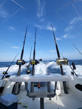 Offshore fishing, Panama